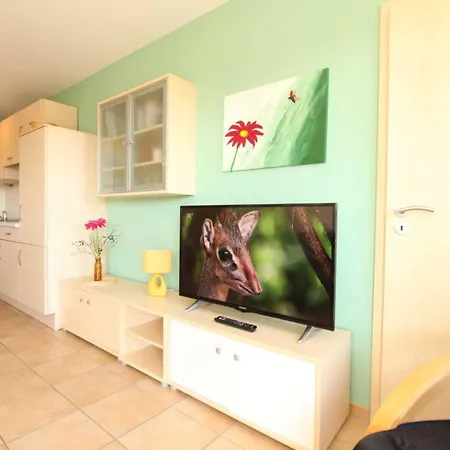 Haus Undine 08 公寓 *